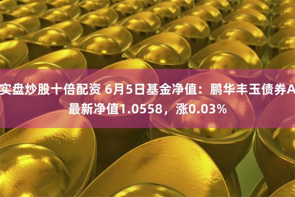 实盘炒股十倍配资 6月5日基金净值：鹏华丰玉债券A最新净值1.0558，涨0.03%